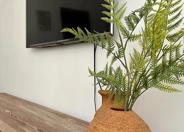Apartamento En Centro - Vial